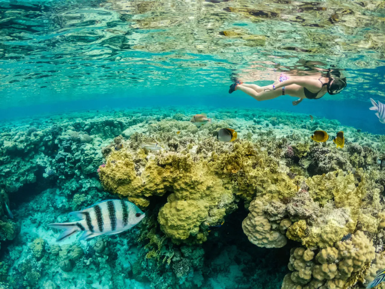 Banana Beach Snorkeling By speed boat