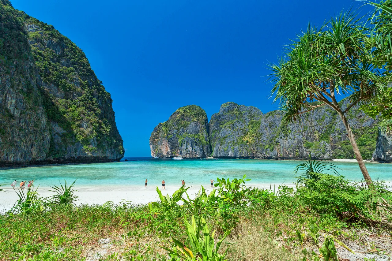 รูปภาพทัวร์ 4