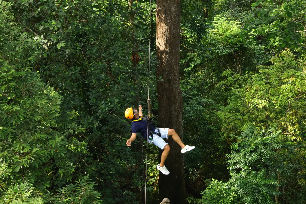 Zipline หนุมำนเวิลด